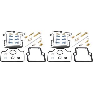 Polaris 700 SKS/Euro Carburetor Rebuild Kit - All Balls Racing - 2002